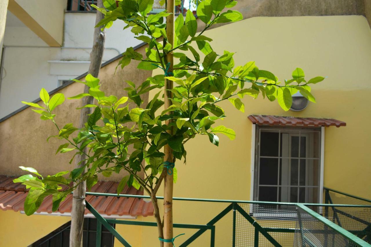 Villa La Bomboniera Maiori Exterior foto